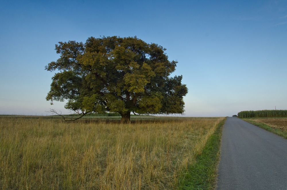 Одиночество
