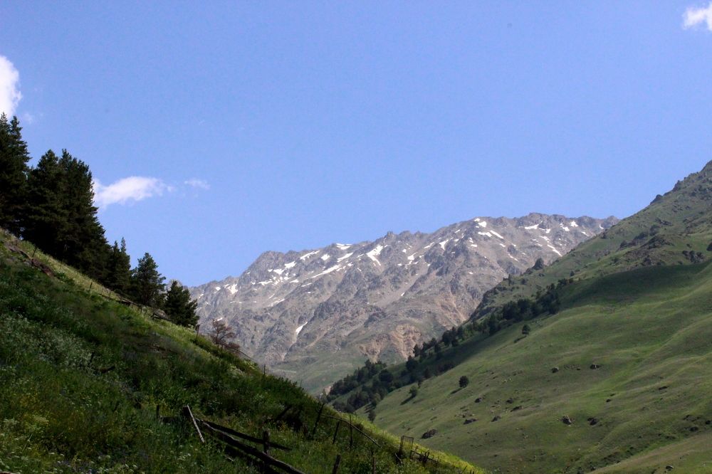 Photograph by Полина Карпова