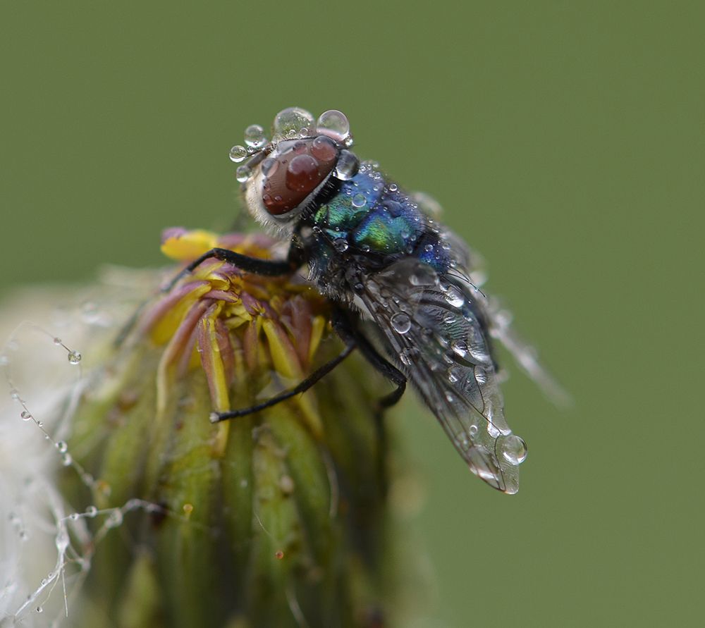 С подмоченной репутацией.