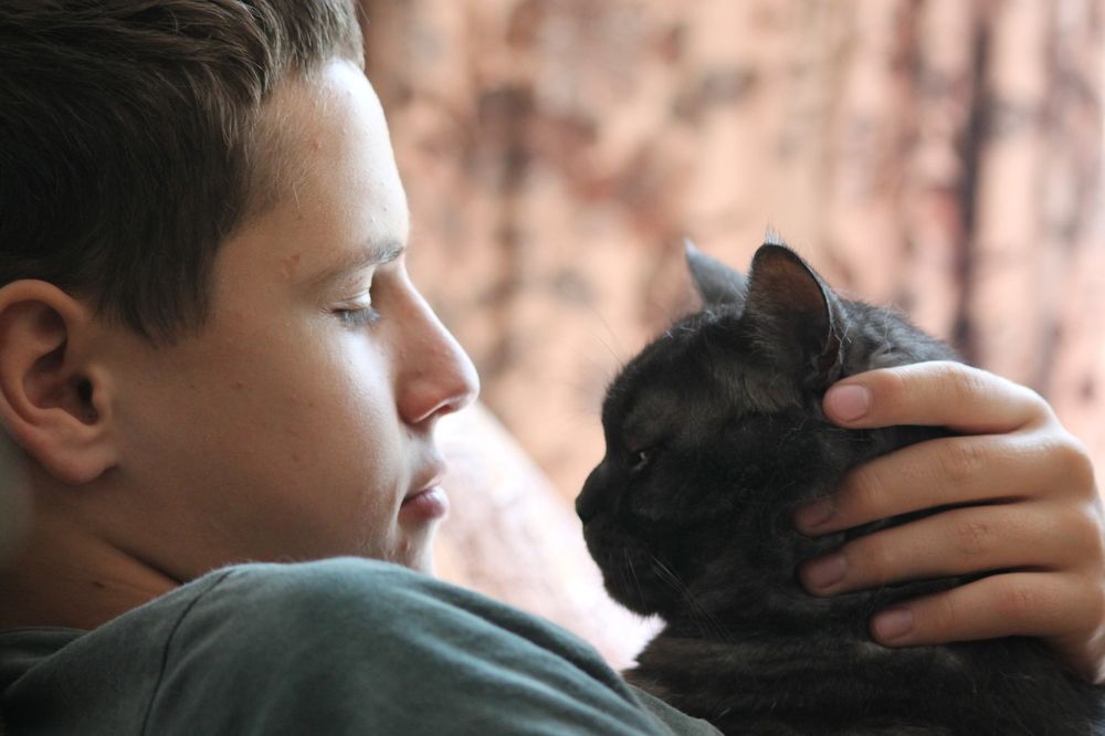 Дети и животные