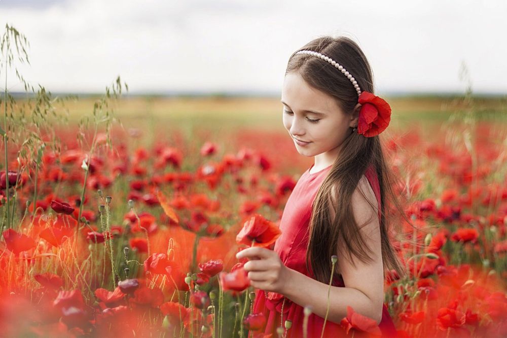 Маковое поле