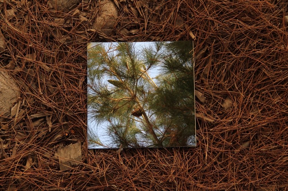 Photograph by Нигора Гайбуллаева