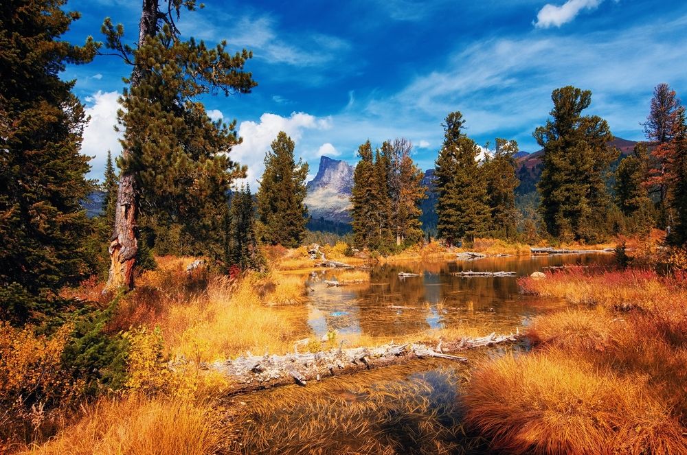 Осеннее утро в Ергаках