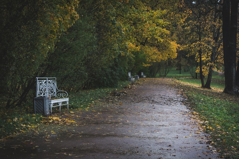 Photograph by Александр Руцкой