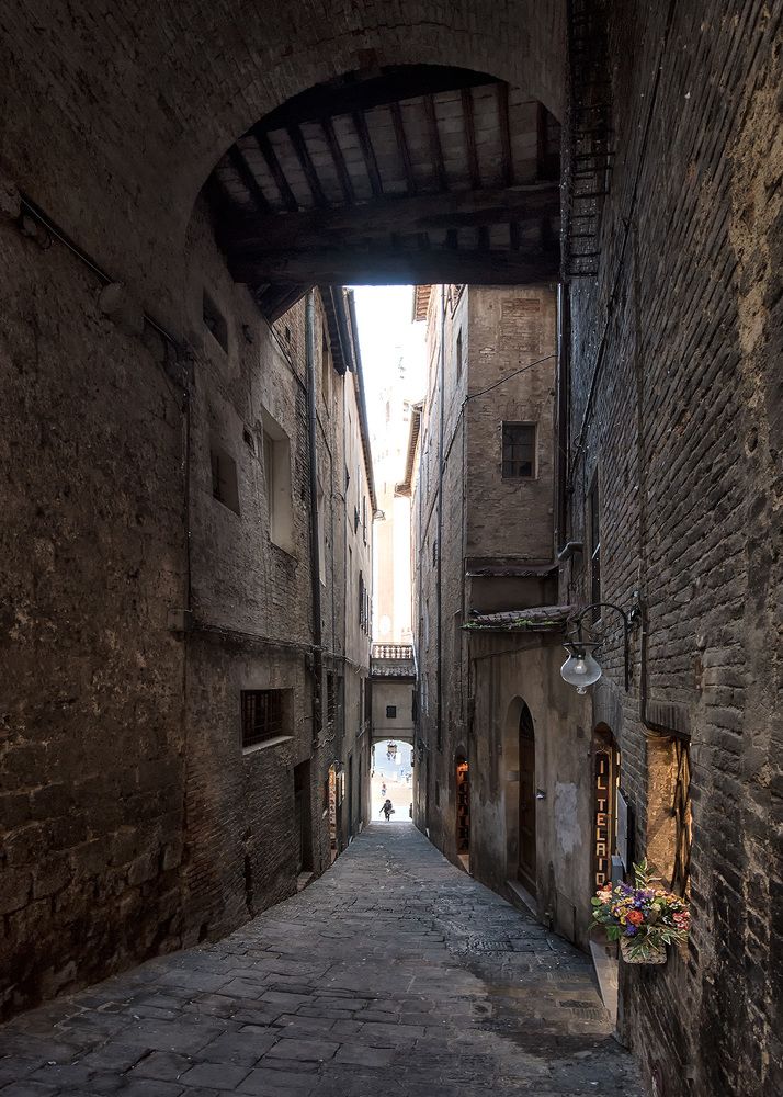 Фотография автора Сергей Сынтин