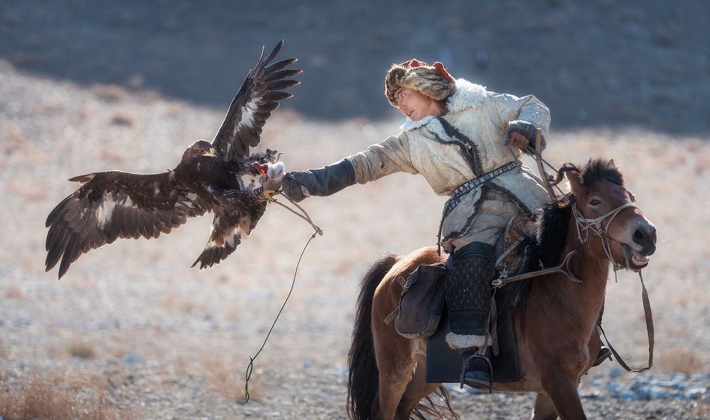 Люди и птицы...