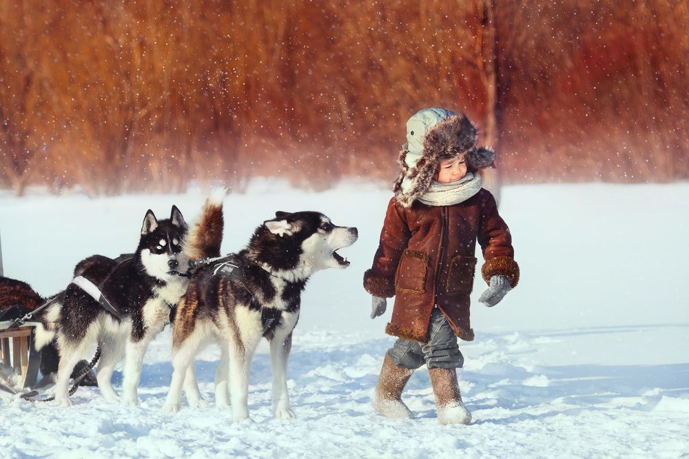 Хозяин тайги