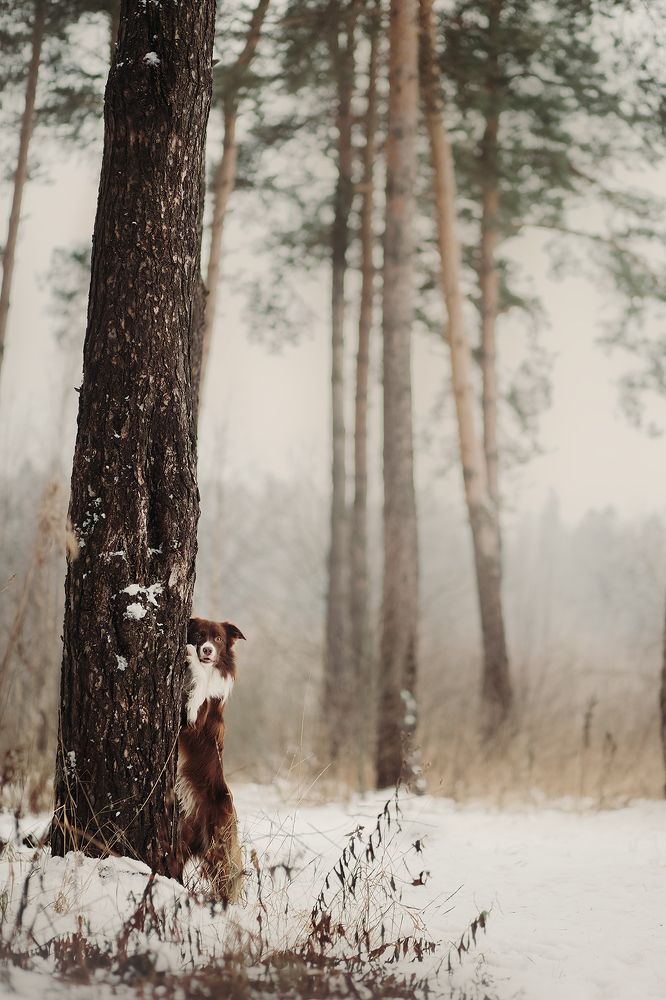 Photograph by Никитина Анна