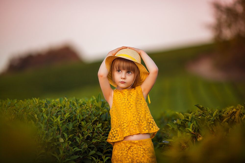 Чайные плантации Мацесты