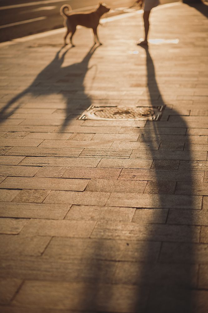 Photograph by Никитина Анна