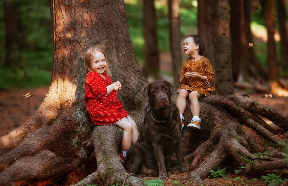 Таежная история