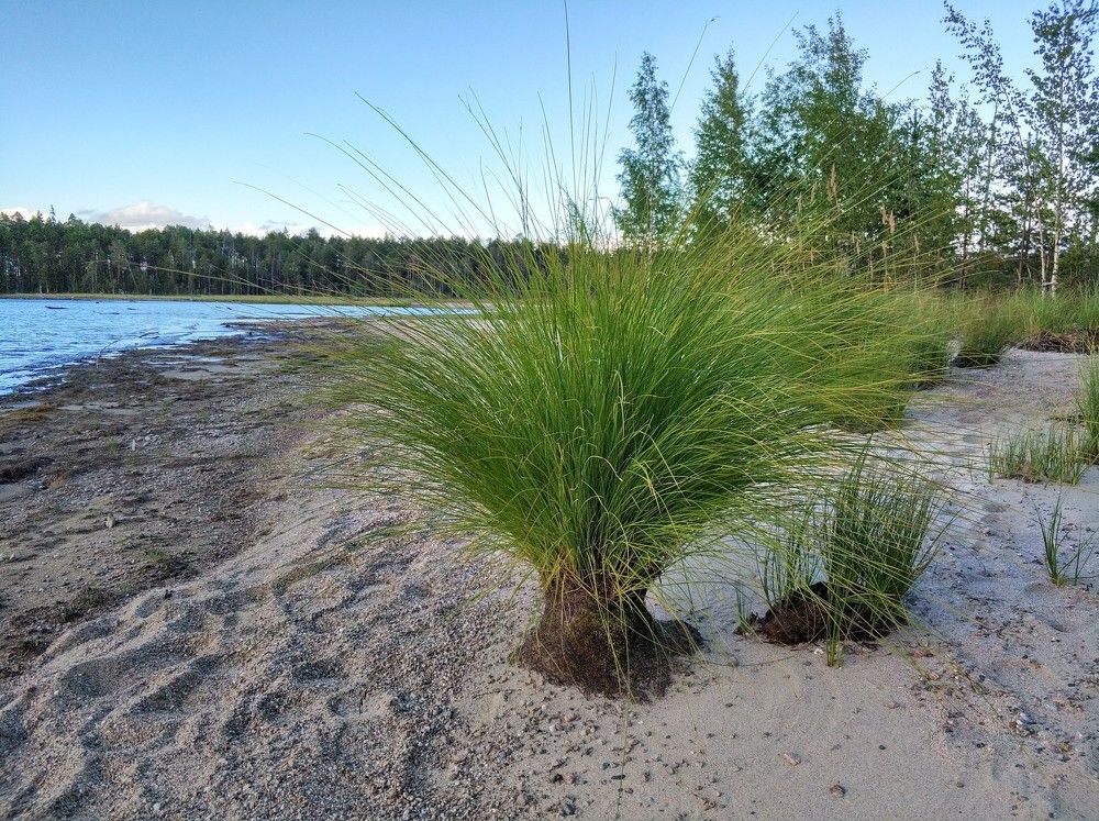 Photograph by Анастасия