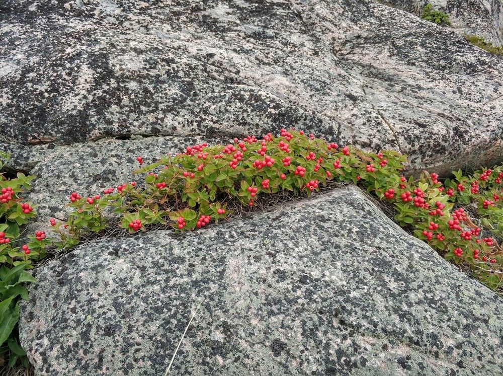 Photograph by Анастасия