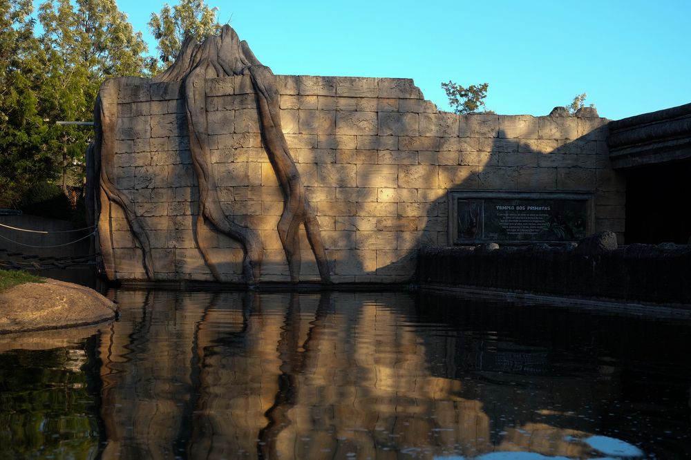 Photograph by Наталья Никитина