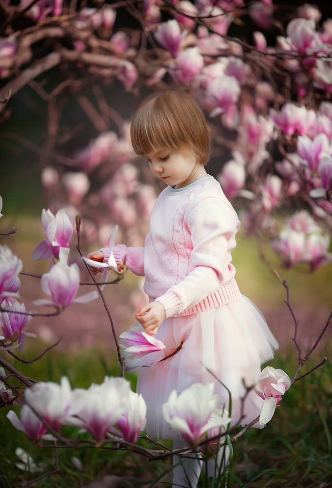 Цветение магнолии