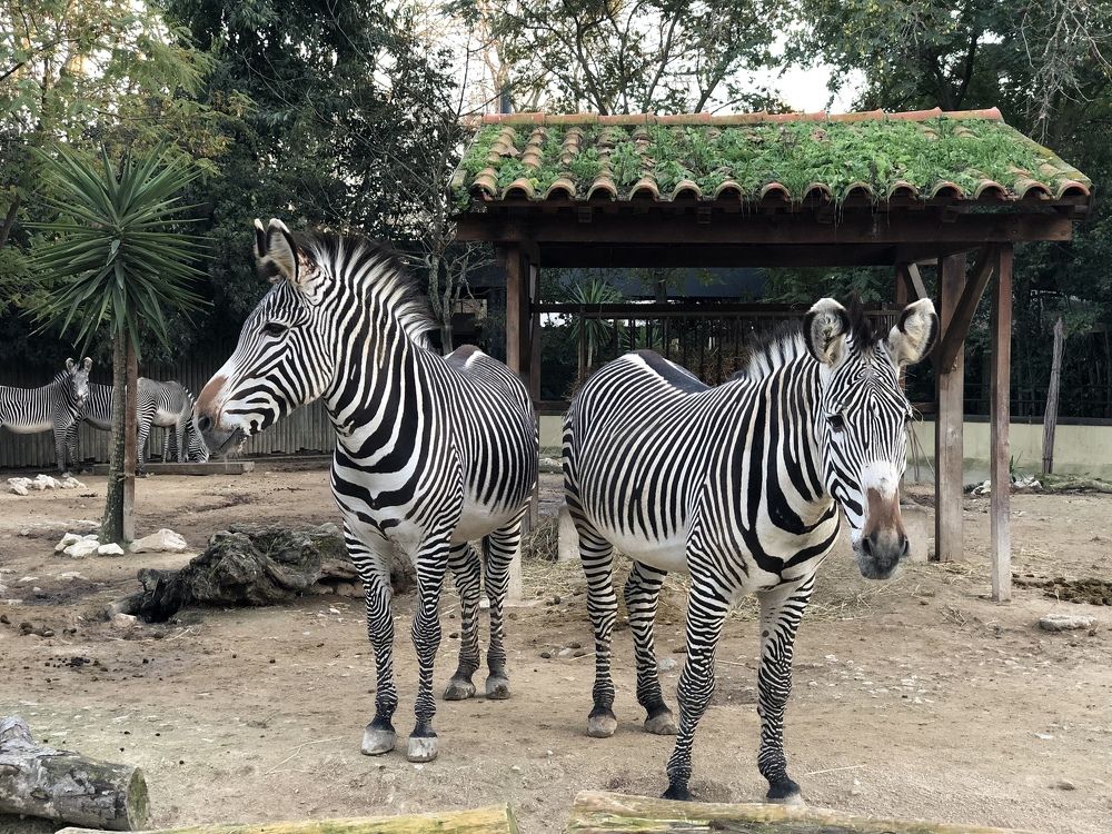 Photograph by Наталья Никитина