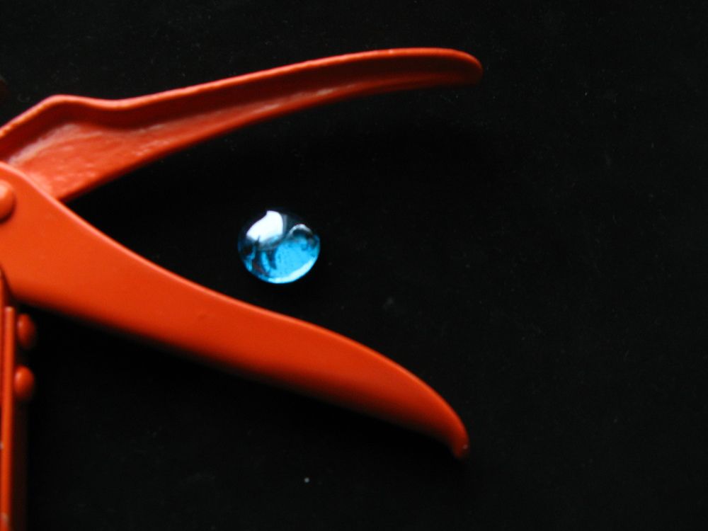 Красная птица