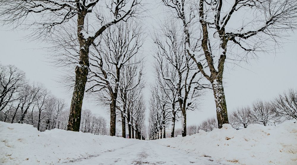 Photograph by Екатерина Корчик