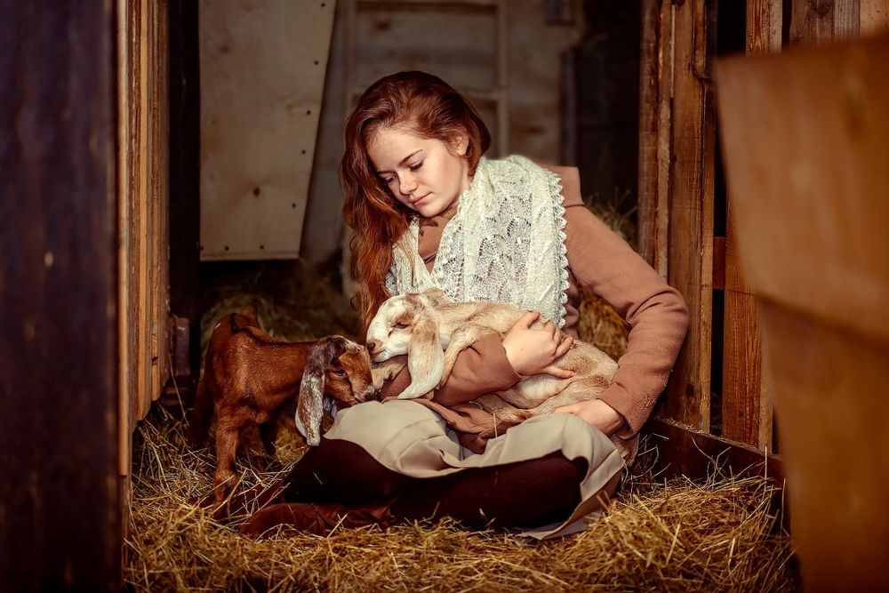 Игра с козлятами