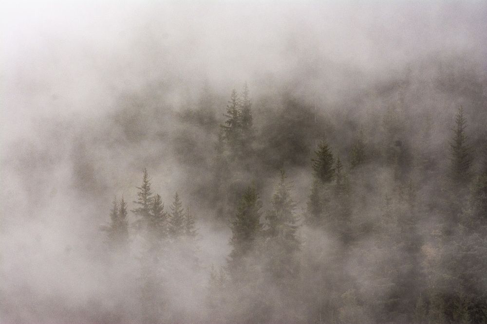 Минимализм