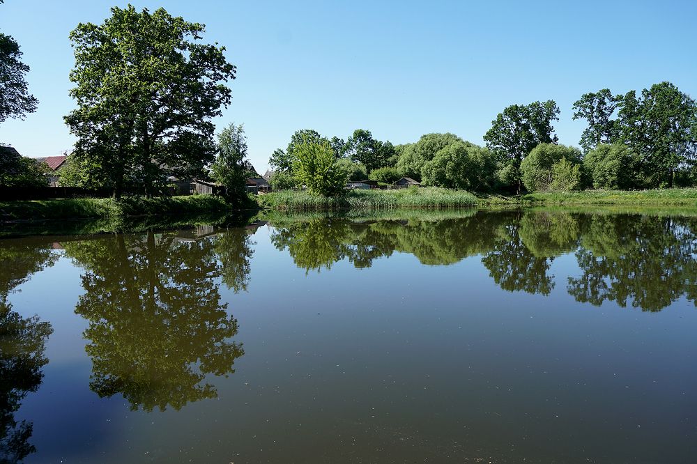 Photograph by Dzianis Mizhui