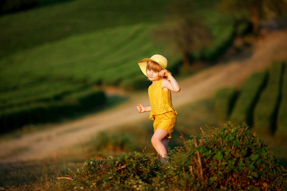 Закат на чайных плантациях Мацесты