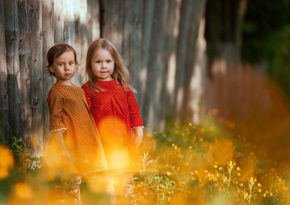 Таёжная история дружбы