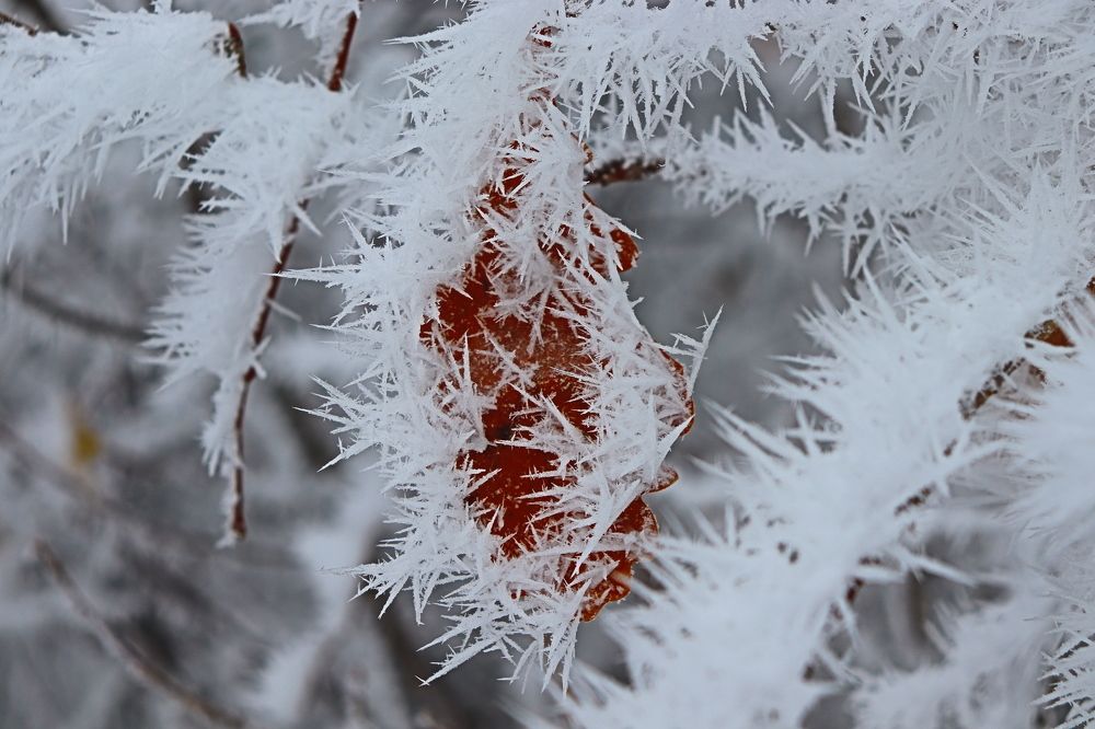 снежные иглы. snow needles