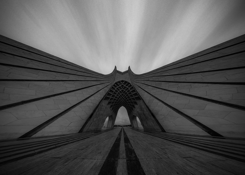 The Wings of Freedom