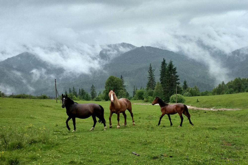 На просторе