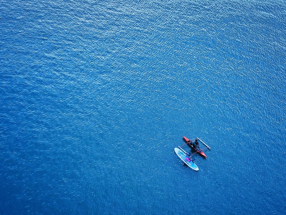 Sealky Blue
