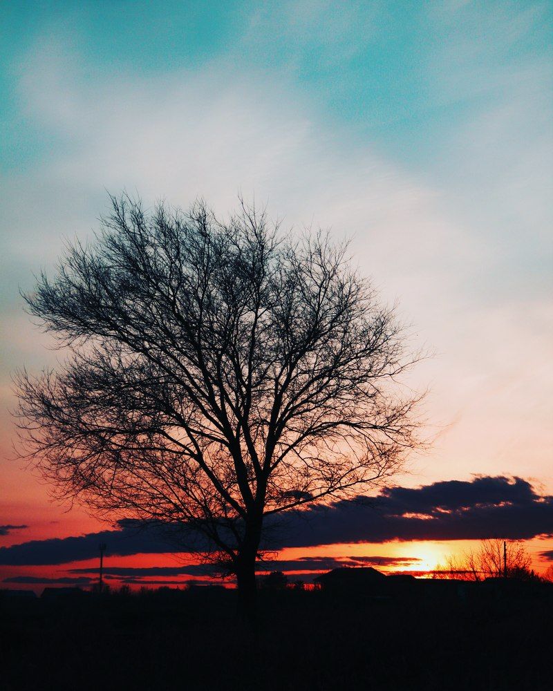 Photograph by Владислав Богаткин