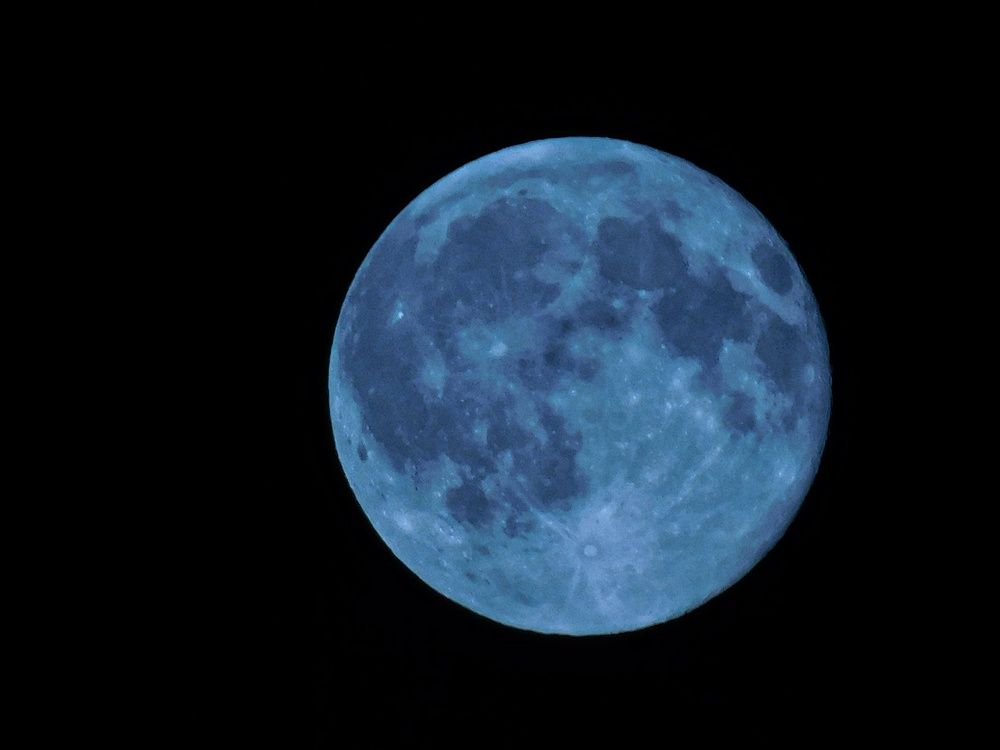 Вою на луну...