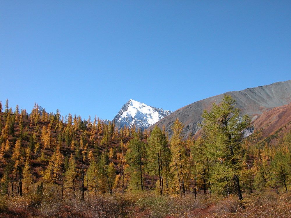 Горный Алтай