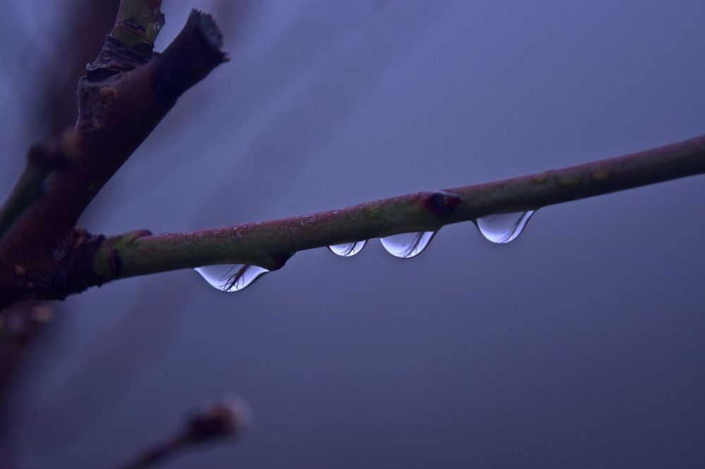 drops