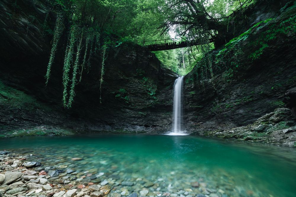 В джунглях Сочи