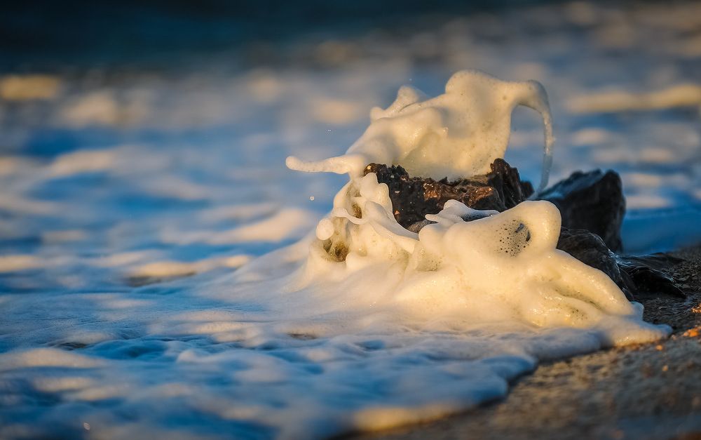 \"Белой пеной, мягкой лапой...\"