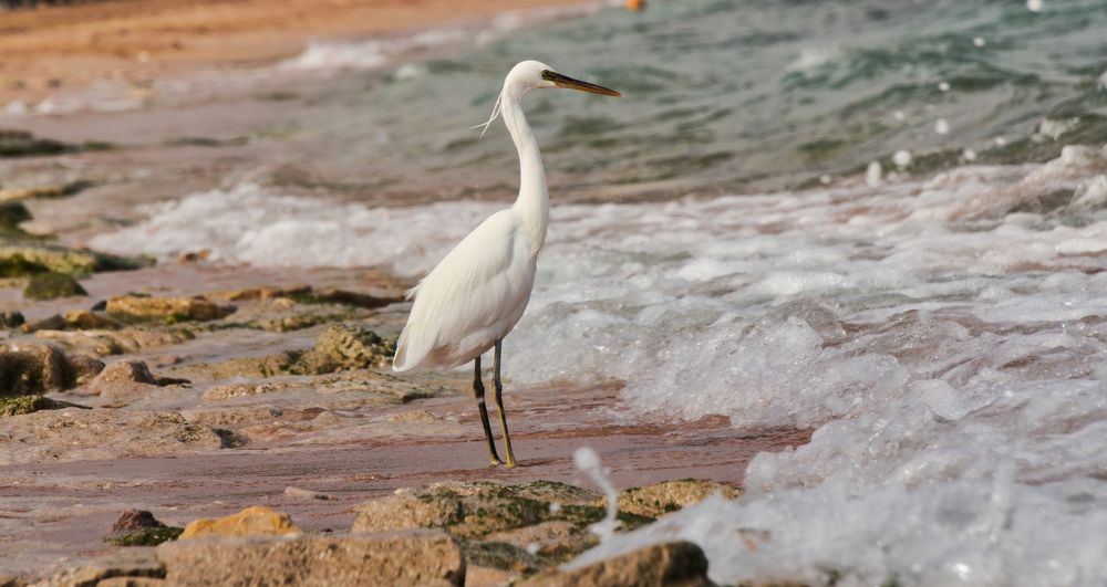 Photograph by Владислав Шигера