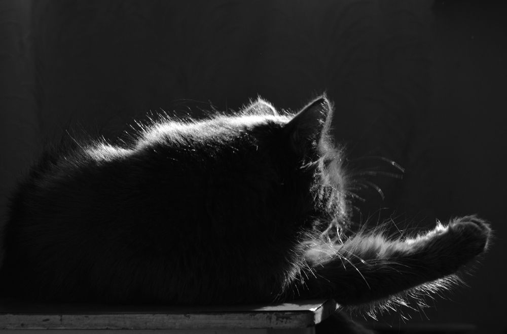 Photograph by Светлана Гок