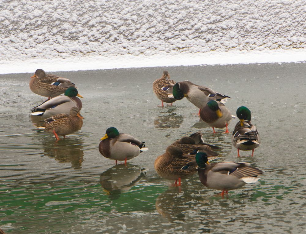 Photograph by Владислав Шигера