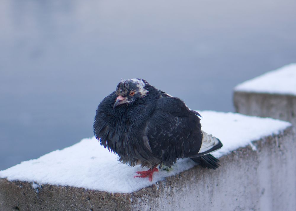 Photograph by Владислав Шигера