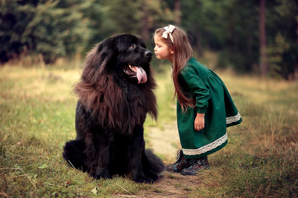 Photograph by Макаркина Регина