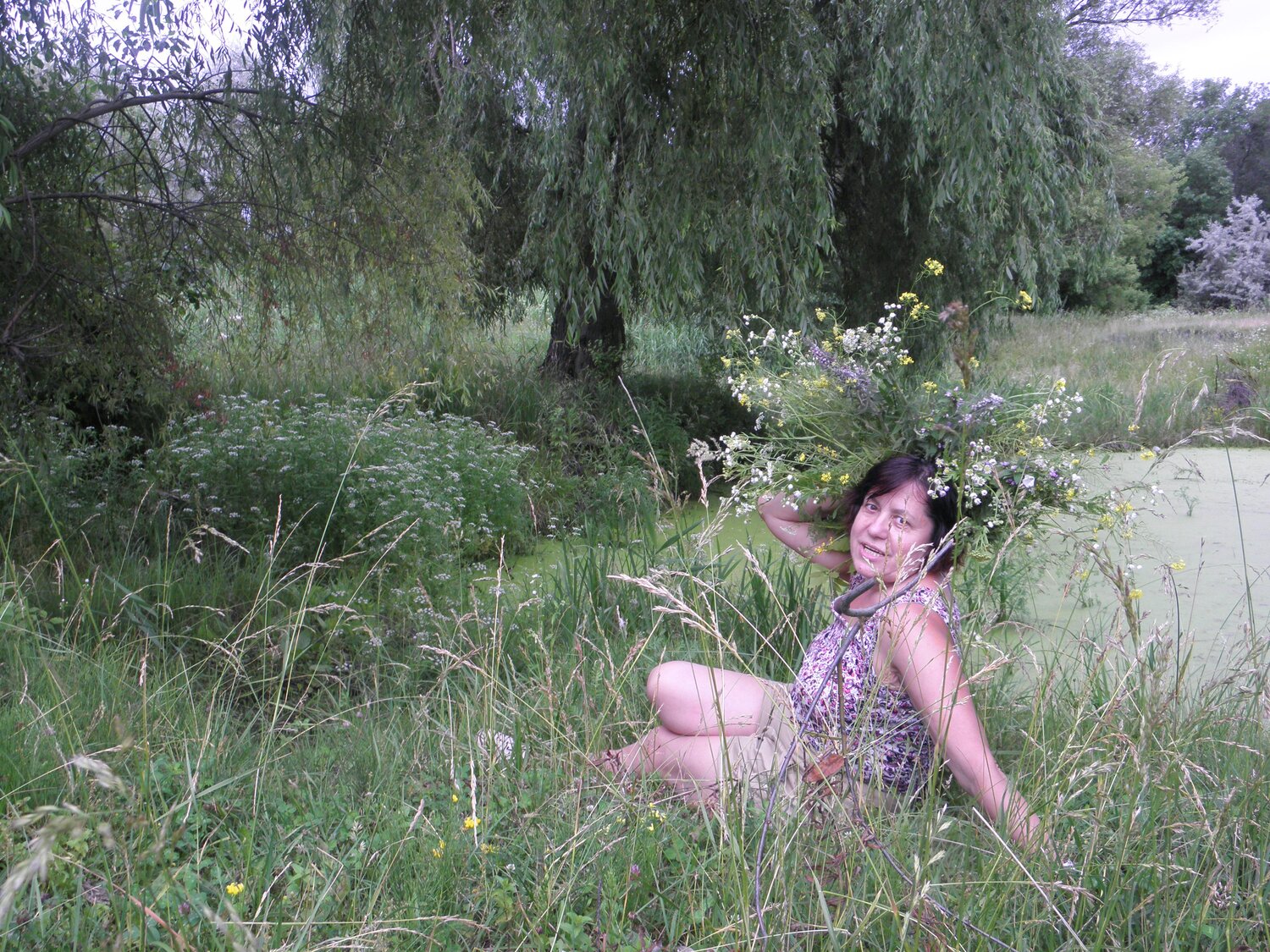 Photo #2985403