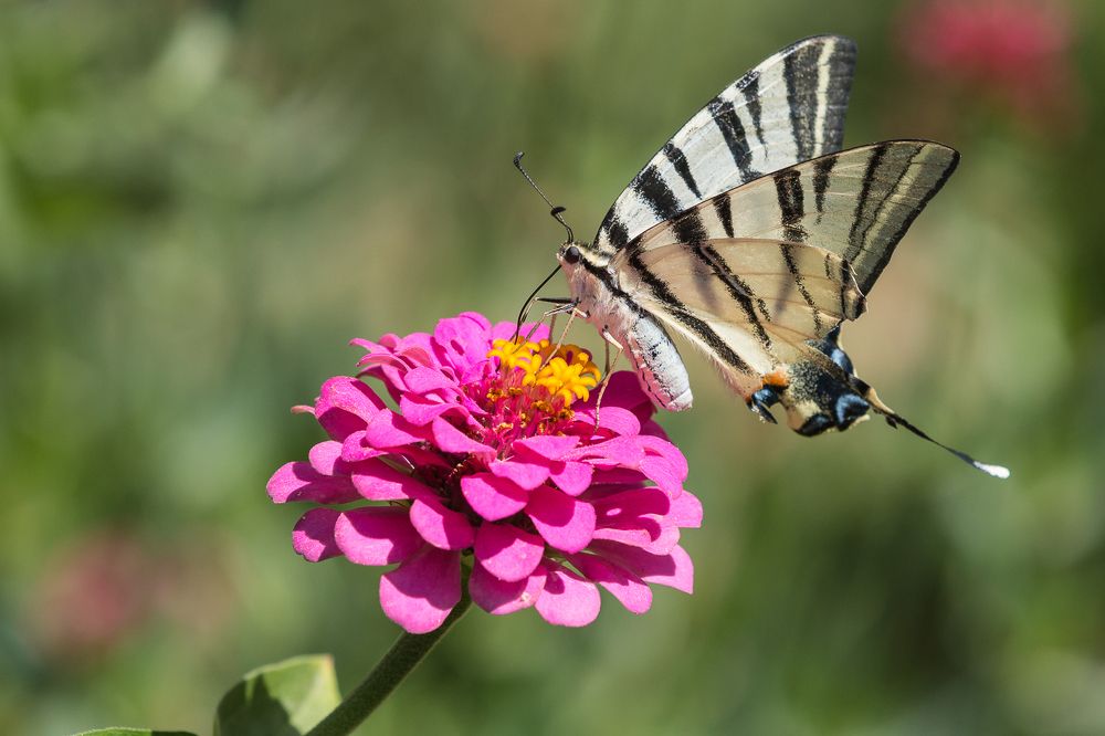 Photograph by Роман Дергунов