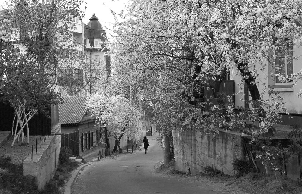 Весенняя улочка