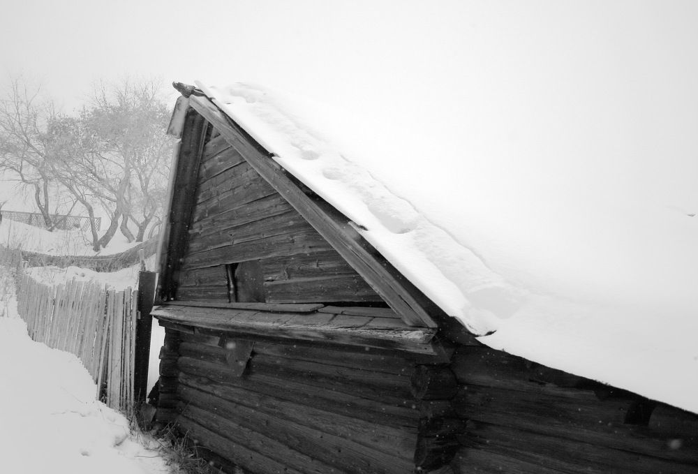 Photograph by Владимир Сафронов