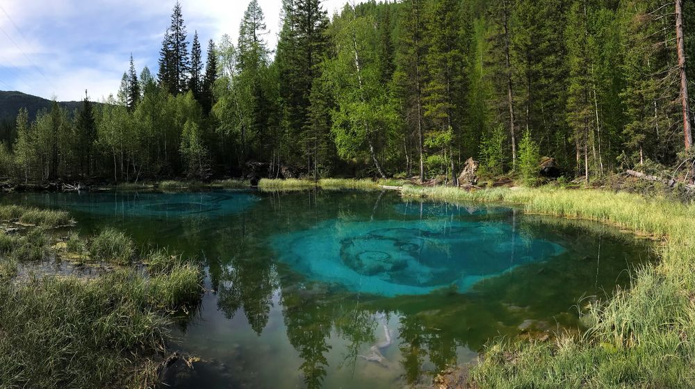 Little lake in the forest