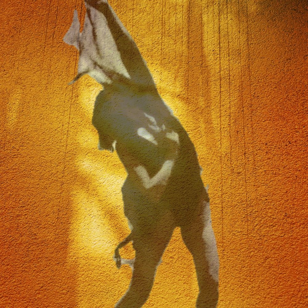 Into The Light