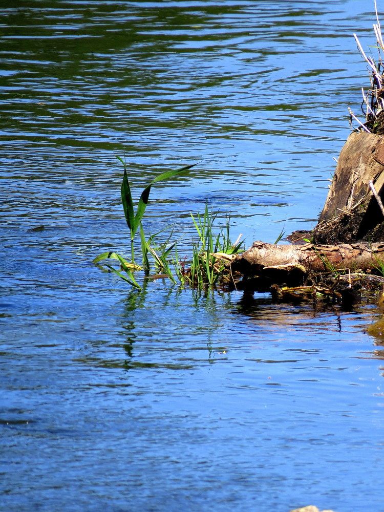 Одиночество