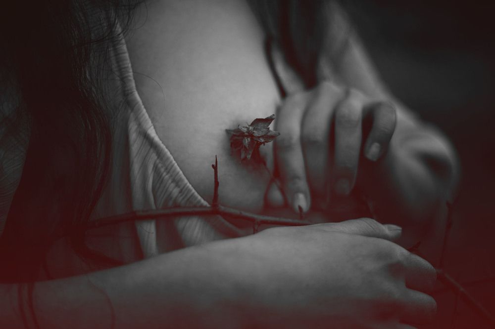 Колючие обьятия